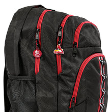 Load image into Gallery viewer, SaInt Louis Cardinals