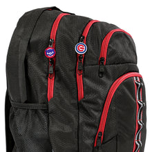 Load image into Gallery viewer, Chicago Cubs